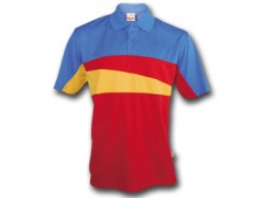 Polo T-Shirt VI图2