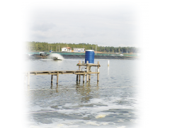 Autofeeder with HDPE or Stainless Steel Tank图3