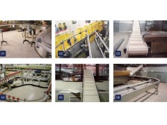 CHAIN BOARD CONVEYOR SYSTEM图2