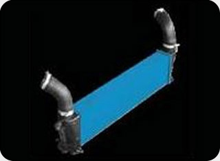 dmax-double_wrap-around-bolsters