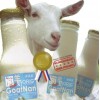ORiG Fresh GoatNan Goat Milk 原真莊羊奶