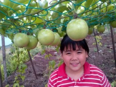 100% PASSION FRUIT PULP图2