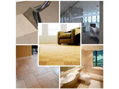 All Cleaning Chemicals Products图2