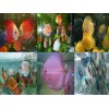DISCUS FISH FOR SALE