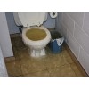 toilet blockage specialist