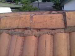 Roofing Leak Barrier图3