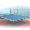 Table Tennis