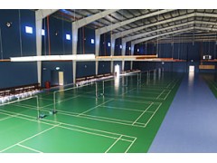 Badminton Courts图2