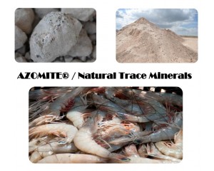 AZOMITE® / Natural Trace Mineralsͼ3