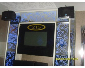 karaoke,meeting room,ktv speaker图3