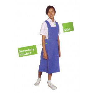 School Uniform-Girl | Secondary Pinafore | Shirt