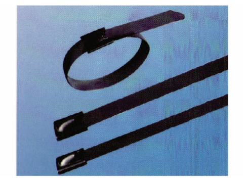 UNCOATED & FULLY COATED STAINLESS STEEL CABLE TIES (BALL LOCK TYPE) AISI. 304 & 316图2