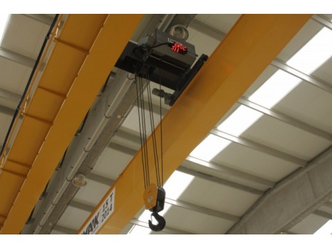 Single Or Double Ginder Overhead Crane 07图2