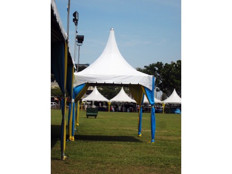 10' x 10' High Top Canopies图3