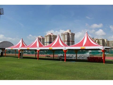 20' X 20' High Top Canopies图3