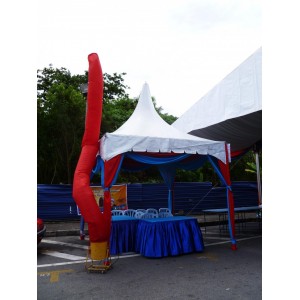 10' x 10' High Top Canopies