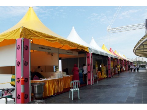 20' X 20' High Top Canopies图2