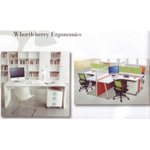 Whortleberry Ergonomics Office Furniture