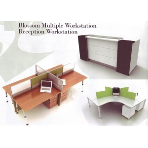 Blossom Multiple Workstation Reception Workstation