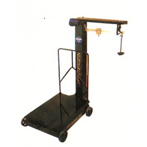 Motocar Platform Scale