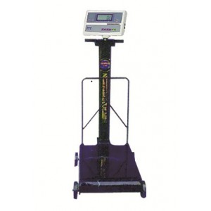 Electronic Conversion Platform Scale (300kg-1000kg)