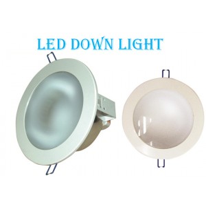 LED Down Light