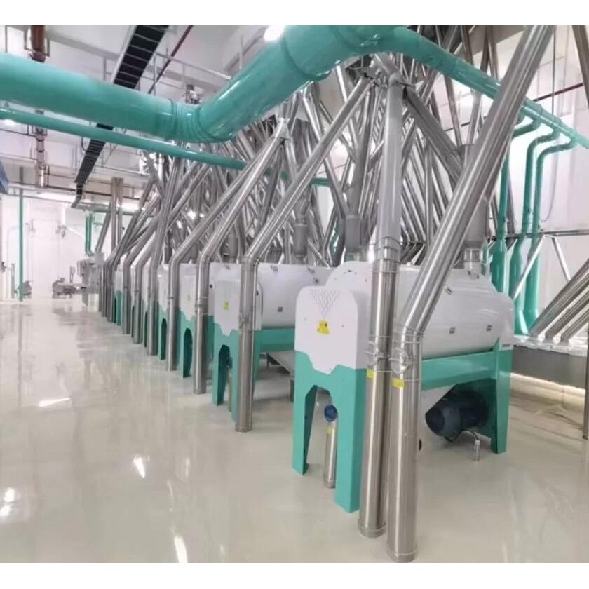 CHINA 500T Concrete Structure Wheat Flour Mill Plantͼ1