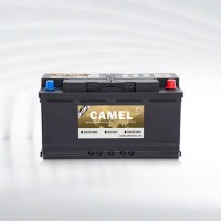 Automotive Agm Start-Stop Battery