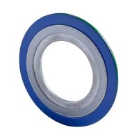 Spiral Wound Gasket with Inner & Outer Rings, FG, Metal Strip