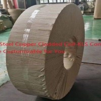 Single/Double-Side Brass-Steel Composite Plates&Strips