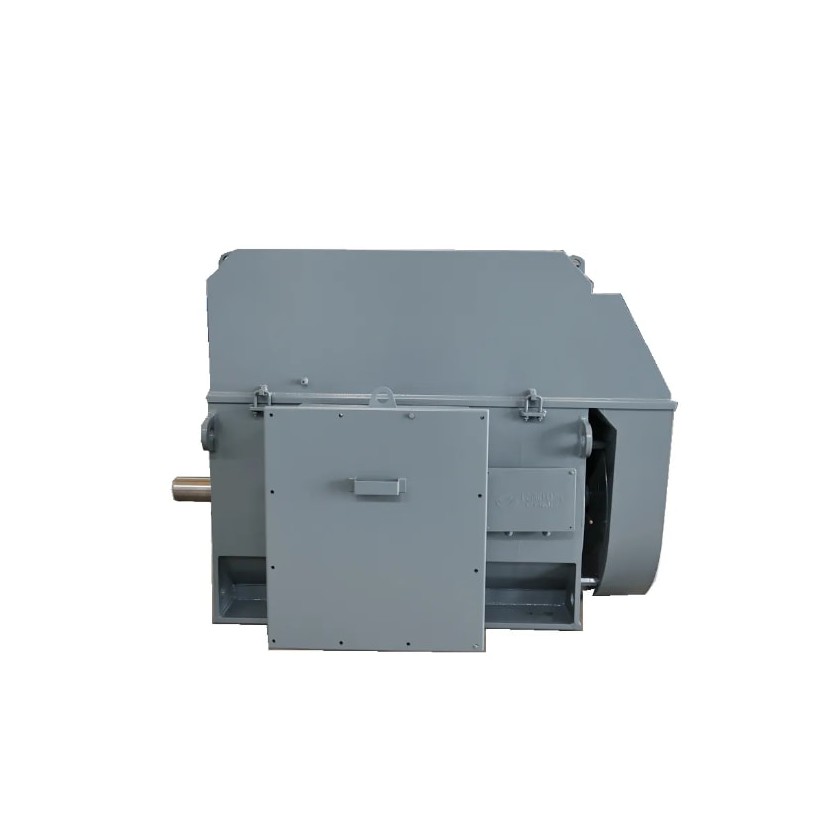 IEC Standard/ GOST Standard Medium Voltage Electric Motors/Asynchronous Motors ͼ1