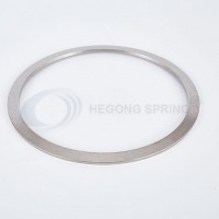 Disc Springs for Valves