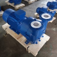 2BV5161 Water Ring Vacuum Pump